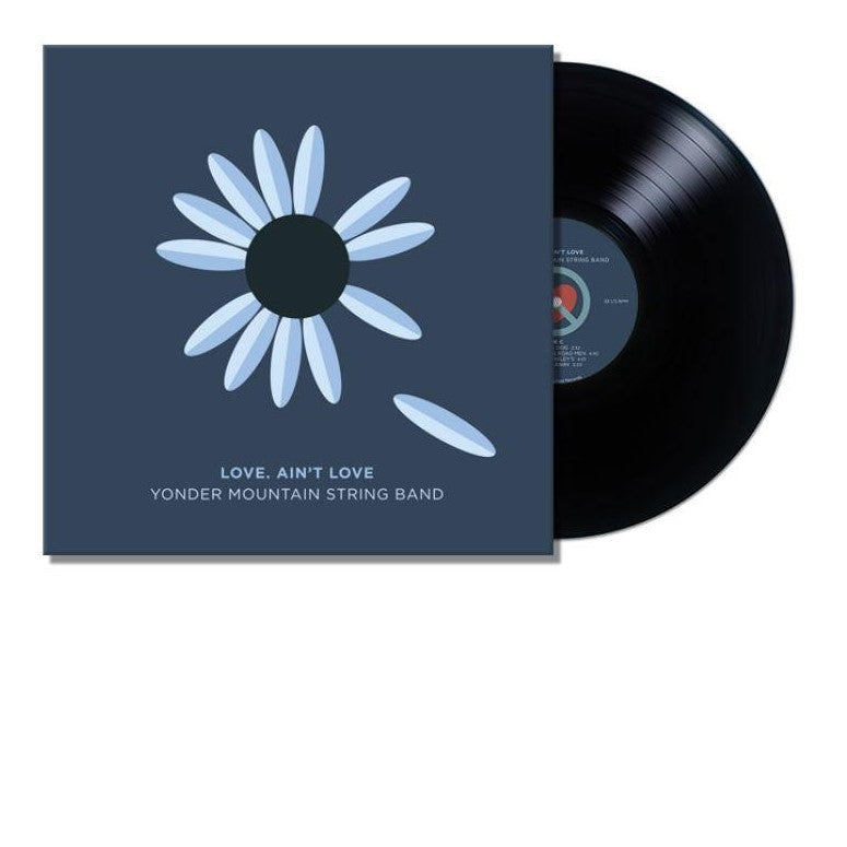 Love. Ain't Love Vinyl