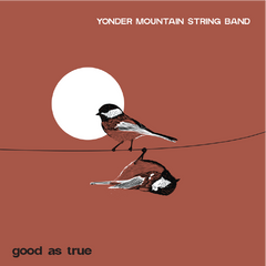 Good As True - CD