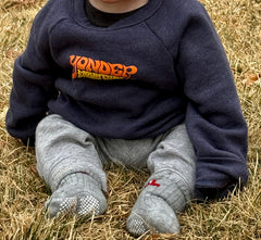 Toddler - Bee Bear Raglan Crewneck